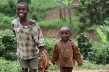 790a3b86705480a5aefef21a7531e63aa3619ef9